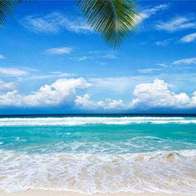 云开·全站APP下载